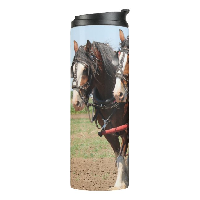 Bouteilles Isothermes Beau clydesdale chevaux labourant (Tourné sur la gauche)