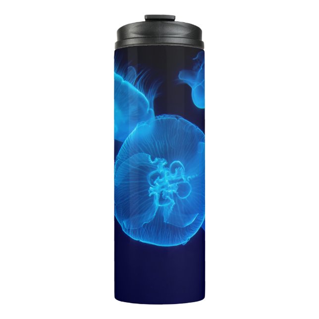 BOUTEILLES ISOTHERMES BEAU JELLYFISH (Devant)