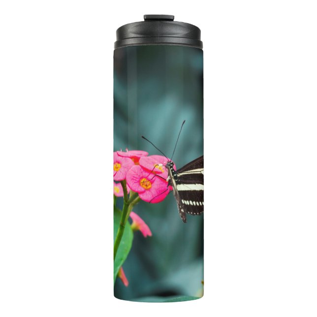 Bouteilles Isothermes Beau papillon (Devant)
