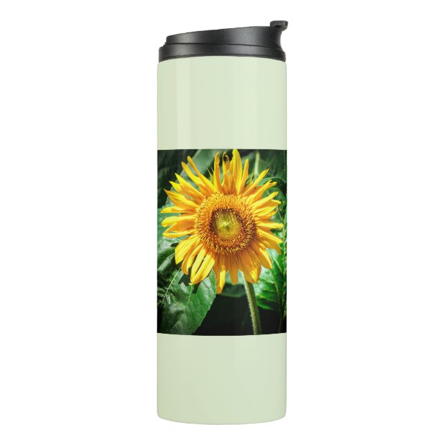 Bouteilles Isothermes Beauté Tournesol (Tourné sur la gauche)