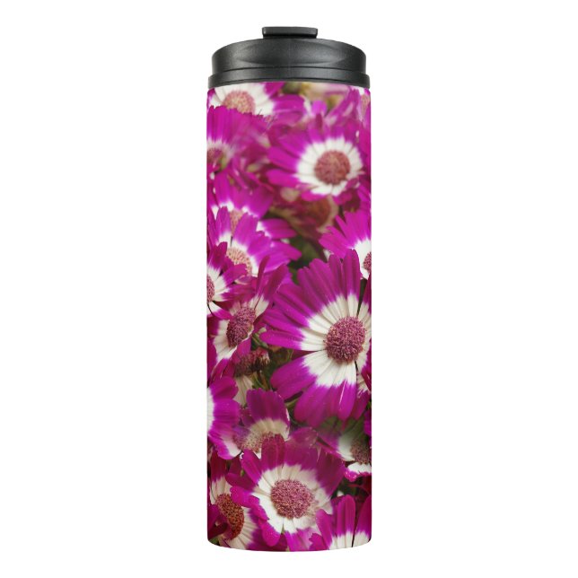 Bouteilles Isothermes Belles fleurs de Cineraria violette (Devant)