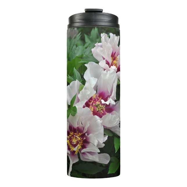 Bouteilles Isothermes Belles fleurs de pivoines (Devant)