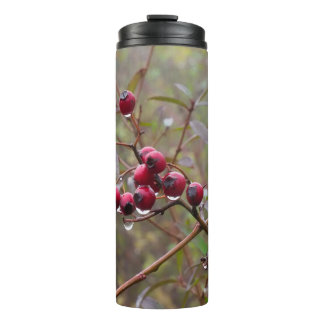 Bouteilles Isothermes Berries