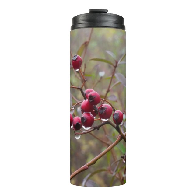 Bouteilles Isothermes Berries (Devant)