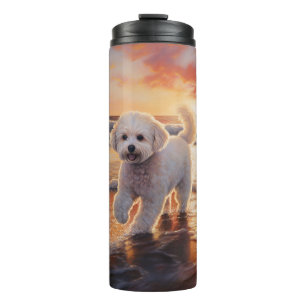 Bouteilles Isothermes Bichon frisé Sandy Paws sur la plage au coucher du