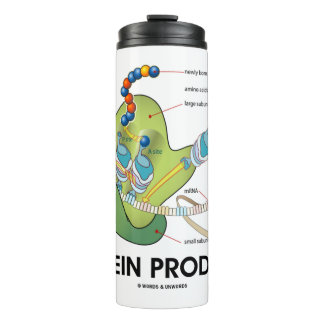 Bouteilles Isothermes Biologie des producteurs de protéines Humour de sy