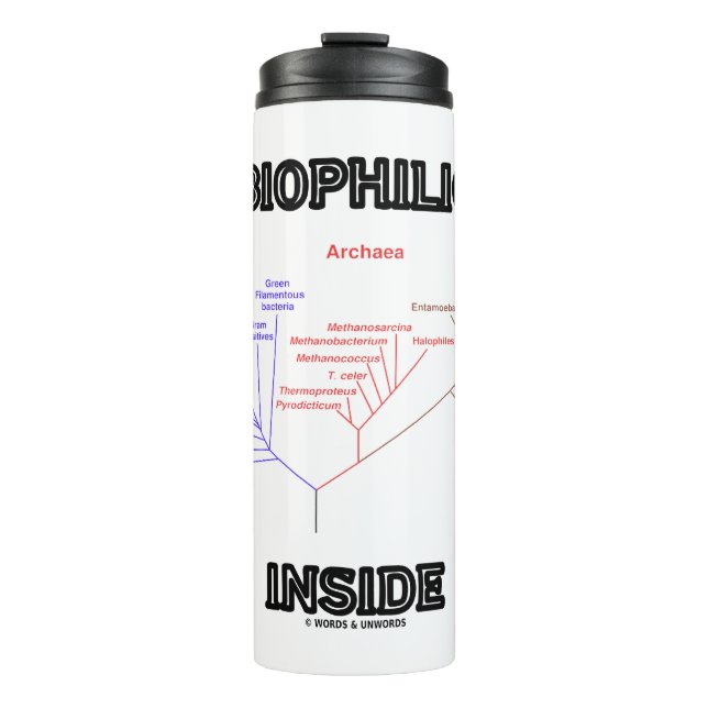 Bouteilles Isothermes Biophile Dans L'Arbre Phylogénétique De La Biologi (Devant)