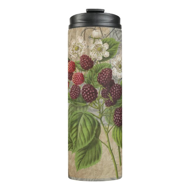 Bouteilles Isothermes Blackberries Floral Garden Flower Papillon Art (Devant)