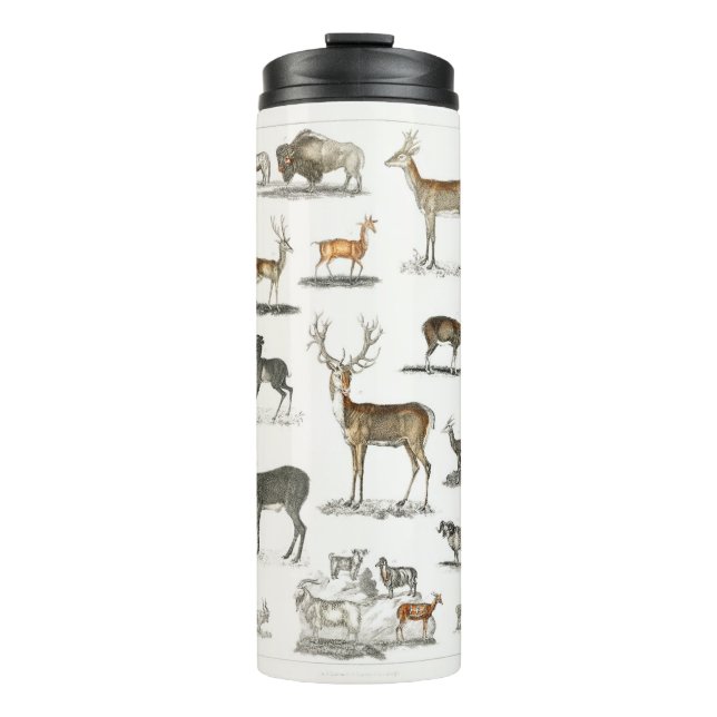 Bouteilles Isothermes bois, cerf, nature, chasse, animal, butin, sauvage (Devant)