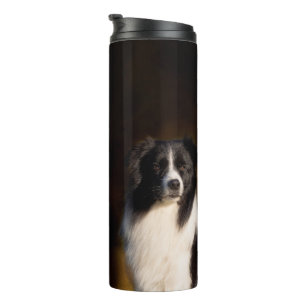Bouteilles Isothermes Border collie