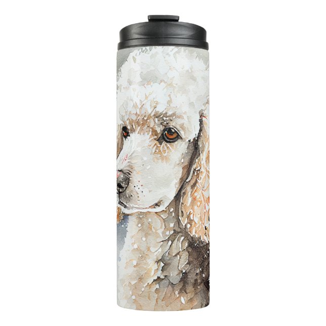 Bouteilles Isothermes --Bouteille isotherme (Devant)