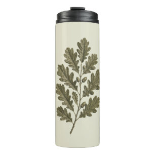 Bouteilles Isothermes Branche de chêne vert vintage