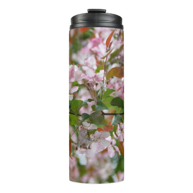 Bouteilles Isothermes Branche délicate avec fleurs pommier (Devant)