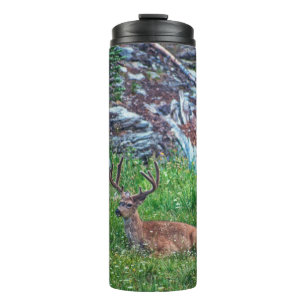 Bouteilles Isothermes Buck de lit