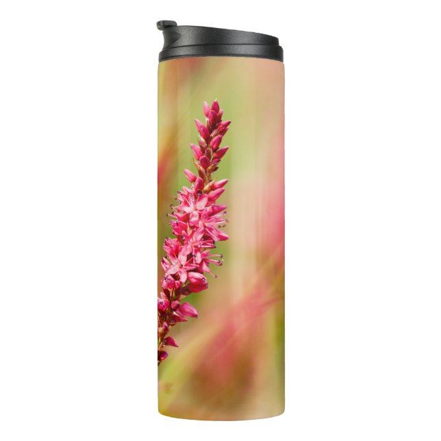 Bouteilles Isothermes buisson de couleur (Tourné sur la droite)