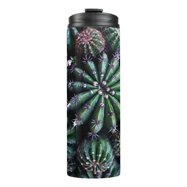 Bouteilles Isothermes Cactus de la maison : Nourriture belle conception (Devant)