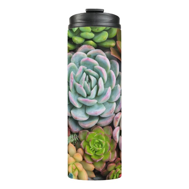 Bouteilles Isothermes Cactus Succulent tumbler (Devant)