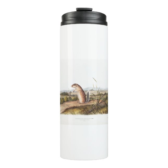 Bouteilles Isothermes Cadeaux Camping Déco Marmot Squirrel Mexicain (Devant)