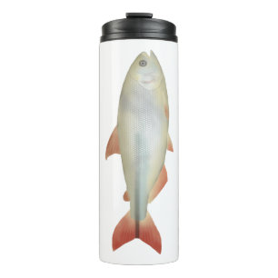 Bouteilles Isothermes Camapuã