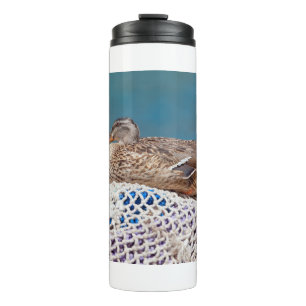 Bouteilles Isothermes Canard de repos