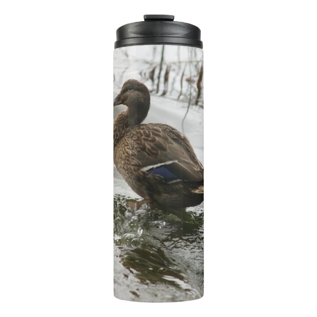 Bouteilles Isothermes Canard gris sur le lac sombre (Devant)