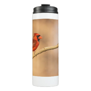 Bouteilles Isothermes Cardinal du Nord
