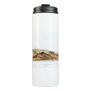 Bouteilles Isothermes Carolina Shrew House Souris Girl Boy Room