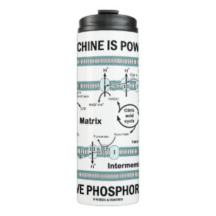Bouteilles Isothermes Cette Machine Alimentée Par La Phosphylation Oxida