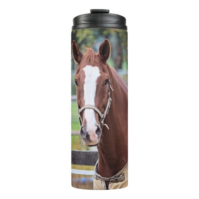 Bouteilles Isothermes Chaleur de cheval (Devant)
