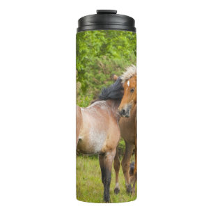 Bouteilles Isothermes Chaleur de cheval
