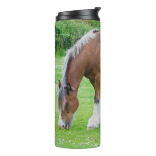 Bouteilles Isothermes Chaleur de cheval