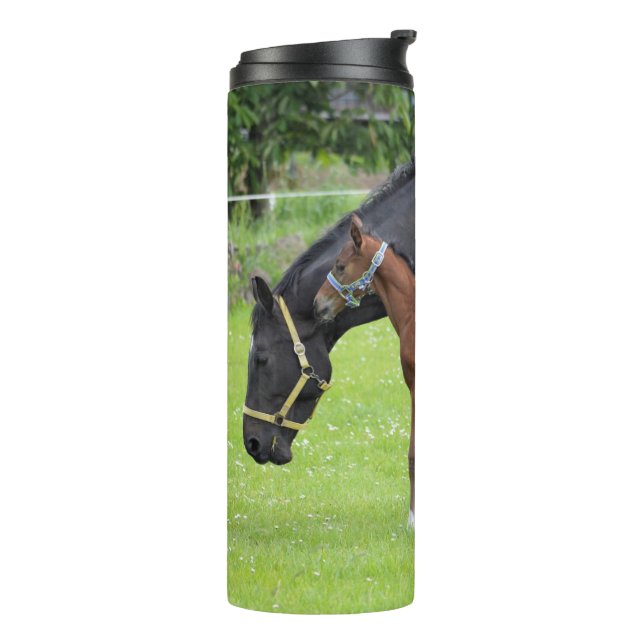 Bouteilles Isothermes Chaleur de cheval (Tourné sur la gauche)