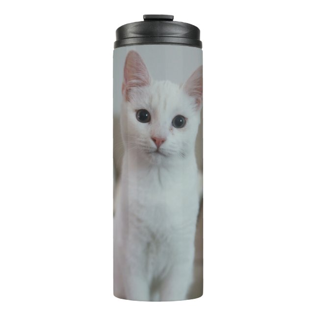 Bouteilles Isothermes chat blanc | Zazzle_Growshop. (Devant)
