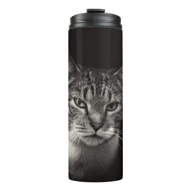 BOUTEILLES ISOTHERMES CHAT TABLEAU D'ARGENT (Devant)