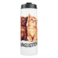 Chatons frères et soeurs, deux chats mignons
