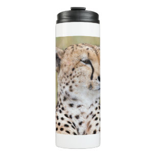 Bouteilles Isothermes Cheetah