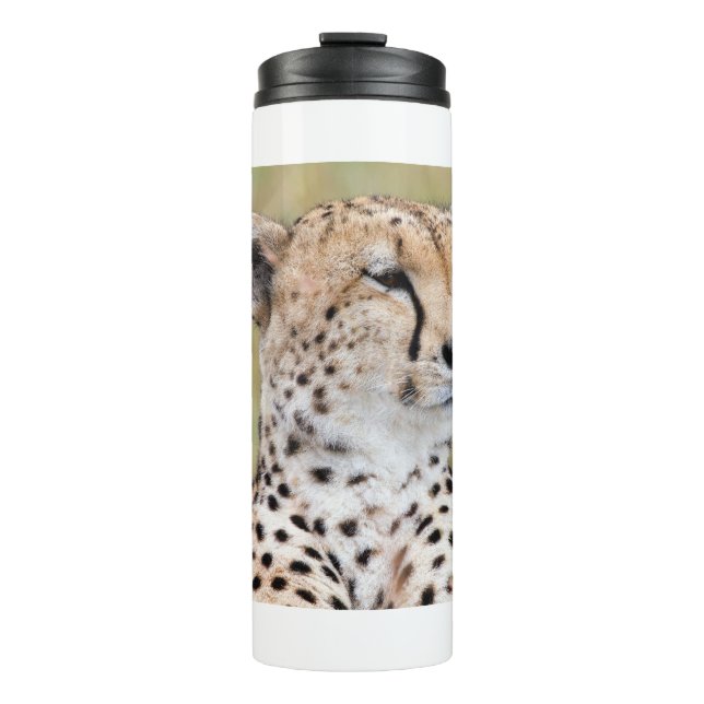 Bouteilles Isothermes Cheetah (Devant)