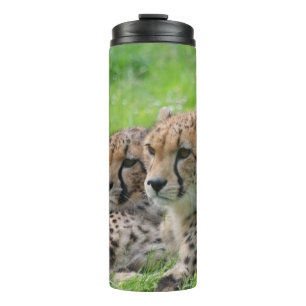 Bouteilles Isothermes Cheetah 001