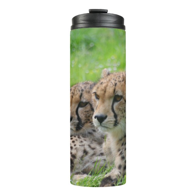 Bouteilles Isothermes Cheetah 001 (Devant)