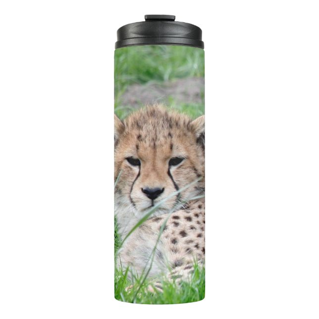 Bouteilles Isothermes Cheetah 002 (Devant)