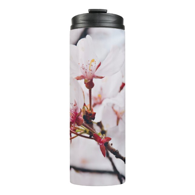 BOUTEILLES ISOTHERMES CHERRY BLOSSOM FLEURS EN MACRO SHOT (Devant)