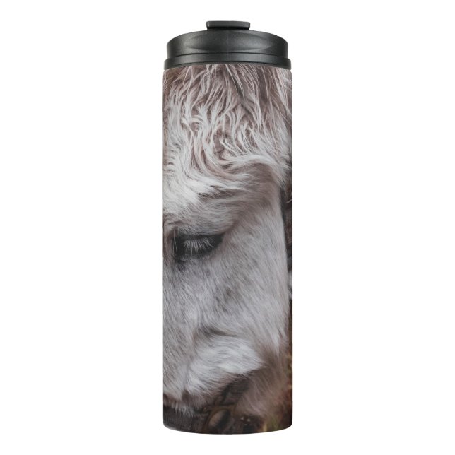BOUTEILLES ISOTHERMES CHEVAL BLANC (Devant)