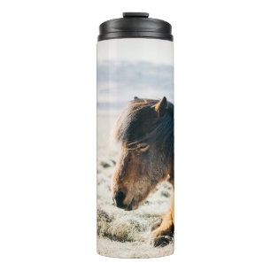 Bouteilles Isothermes CHEVAL Brown SITUÉ SUR GRASS PRÈS DE LA PLAGE