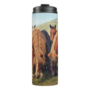 Bouteilles Isothermes Chevaux sauvages Vie Nature Scène