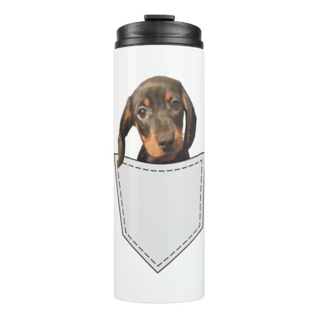 Bouteilles Isothermes Chien de poche Dachshund (Devant)