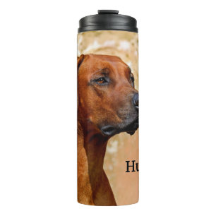 Bouteilles Isothermes Chien de Rhodesian Ridgeback