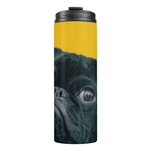 Bouteilles Isothermes chien jaune (Devant)