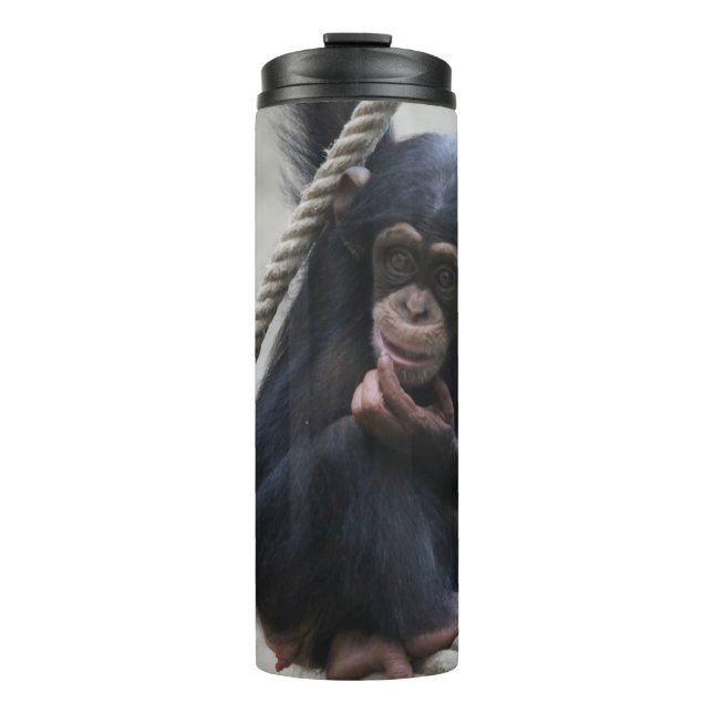 Bouteilles Isothermes Chimpanzé 030 (Devant)