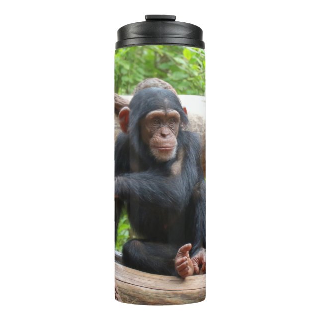 Bouteilles Isothermes Chimpanzée 001 (Devant)