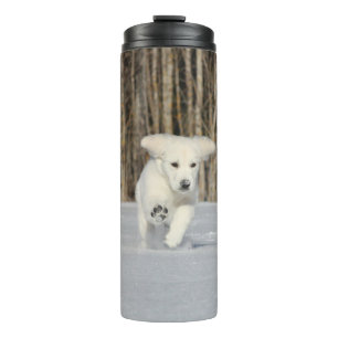 Bouteilles Isothermes Chiot blanc Golden Retriever en neige